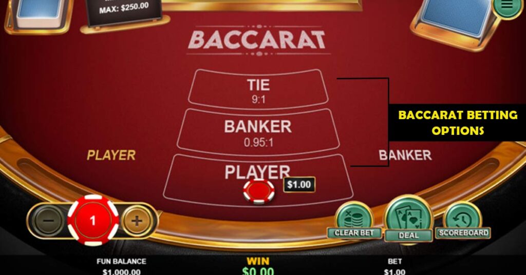 Exploring Live Baccarat Betting Options