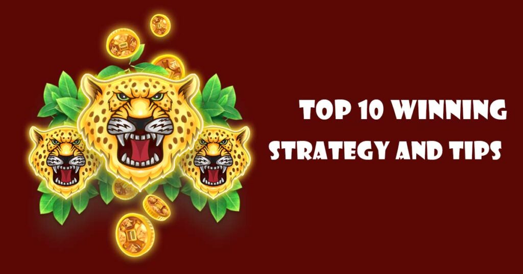 Top 10 Winning Strategy and Tips 
