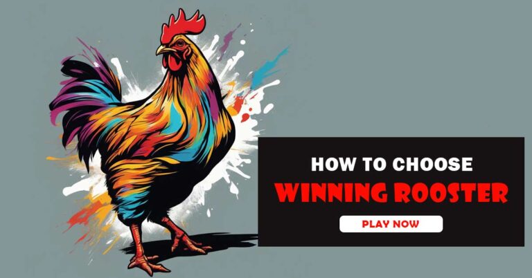 Winning Rooster | How to Choose Rooster Instantly